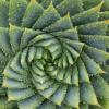 Stratos4_9