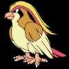 AngryPidgeotto