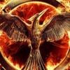 phoenix11480