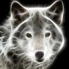 SuPeR_WoLF