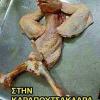 Xwse armado