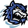 BlueTiger778