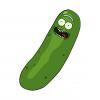 PickleRick