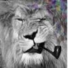 300Lions