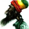 Don.Matis