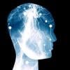 wired_1