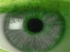 Jungleyes